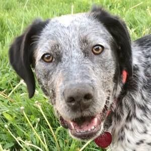 Meet your Posher, Stacy